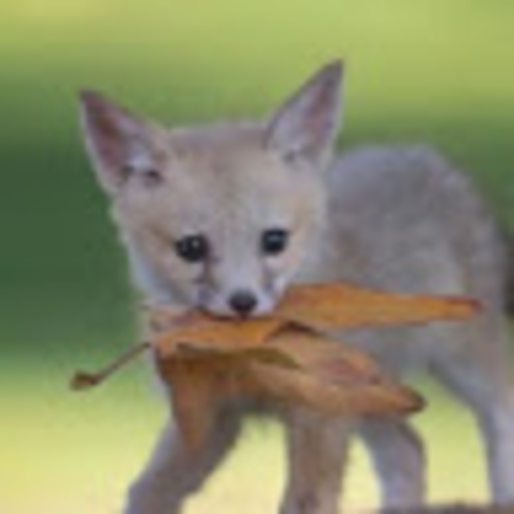 Meet your Posher, Rebecca